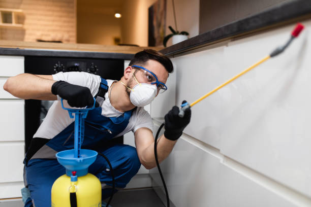 Best Best Pest Control Companies  in Calcutta, OH