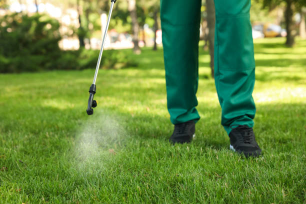 Best Termite Control Services  in Calcutta, OH