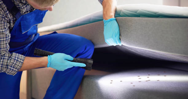 Best Cockroach Control Services  in Calcutta, OH