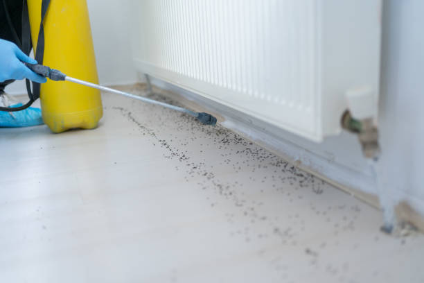 Best Exterminator Services  in Calcutta, OH