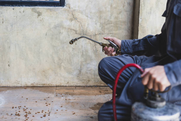 Best Termite Control Services  in Calcutta, OH